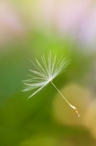 מזגנים רצפתיים איכותיים